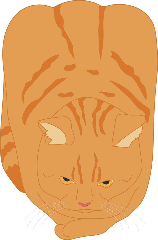 hand dragen tabby katt i en limpa utgör isolerat på en vit bakgrund. söt ingefära katt utseende tycka om en limpa av en bröd. röd tabby katt. vektor illustration