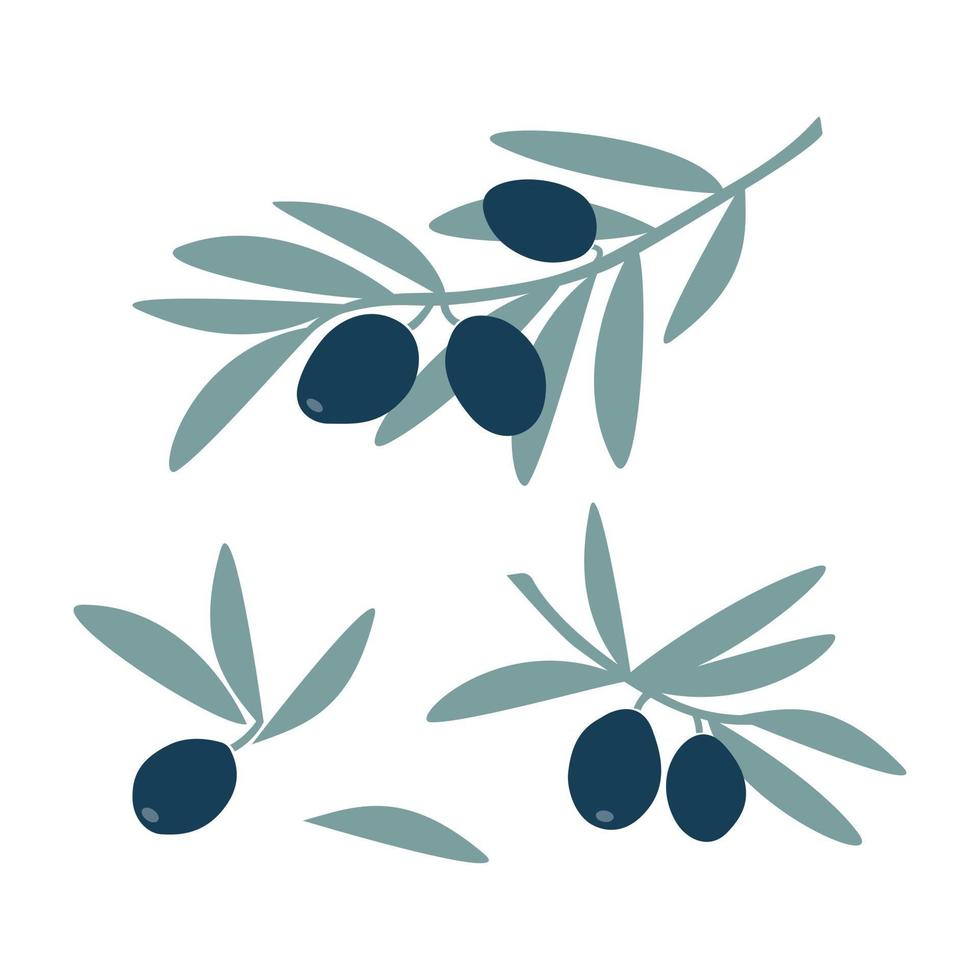 Reihe von Olivenbaumzweigen mit grünem Blatt und Fruchtoliven im Handzeichnungsstil isoliert auf weißem Hintergrund. flache Vektorgrafik. Design für Textilien, Etiketten, Poster, Karton vektor