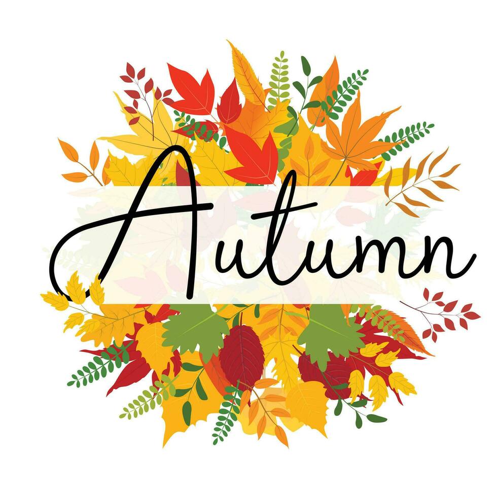 Karte Vorlage, Herbst Abzeichen, Hintergrund, herzlich willkommen Herbst, Etikette Design vektor