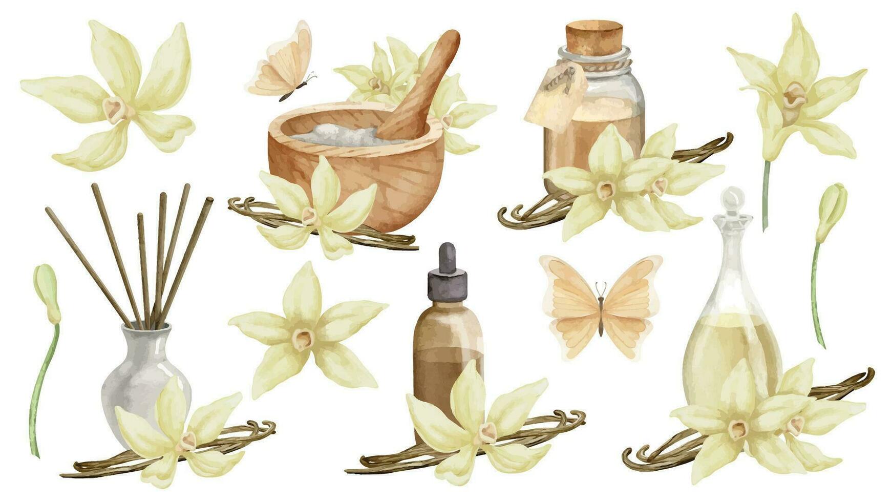 Vanille wesentlich Öl mit Blumen und Stöcke. Hand gezeichnet Aquarell einstellen von Abbildungen von Flaschen mit Zutaten zum Aroma Therapie auf Weiß isoliert Hintergrund. retro Flakons zum kosmetisch Geschmack vektor