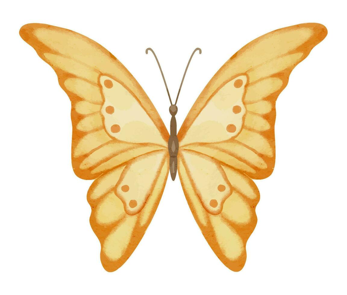 Orange Schmetterling. Hand gezeichnet Aquarell Illustration von Gelb fliegend Insekt auf Weiß isoliert Hintergrund. bunt Zeichnung von Tier zum Symbol oder Logo. skizzieren zum Gruß Karten oder Einladungen vektor