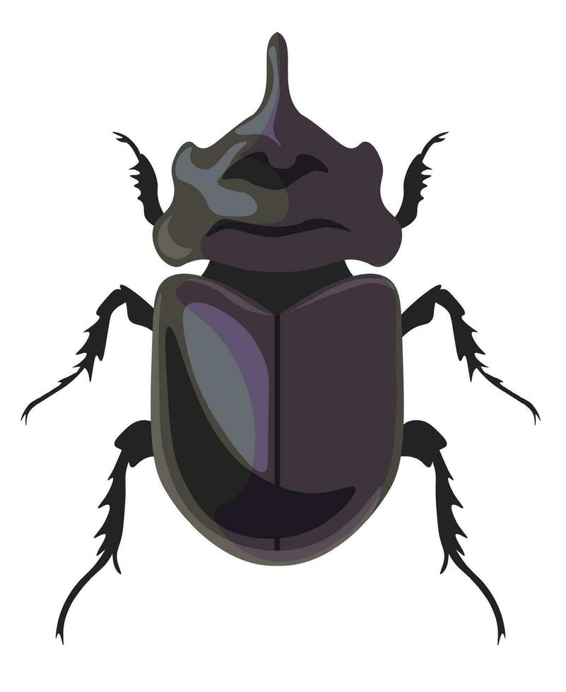 insekt noshörning skalbagge dynastinae, insekter vektor