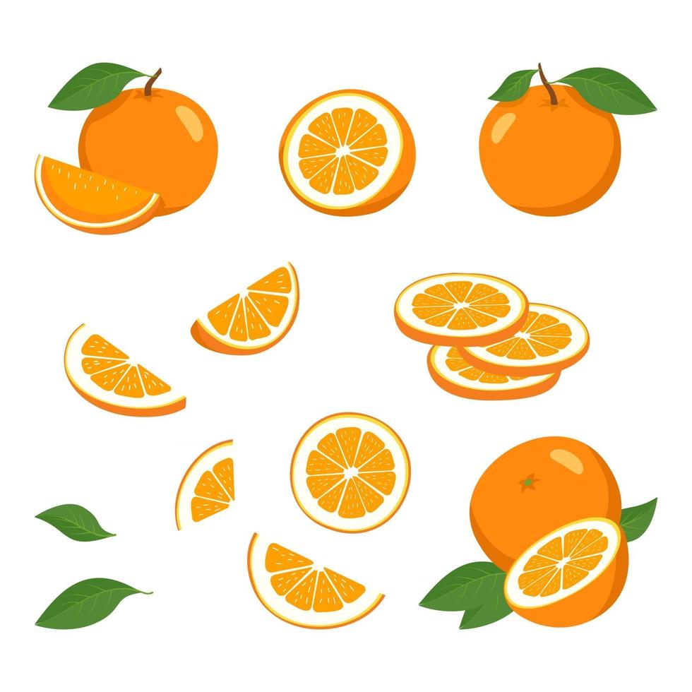 orangefarbene Symbole festgelegt. helle ganze frucht, halb, scheiben mit blättern. Lebensmittel für eine gesunde Ernährung, Dessert, süße Mandarine, Limonade. Elemente für Frühlings- und Sommerdesign vektor