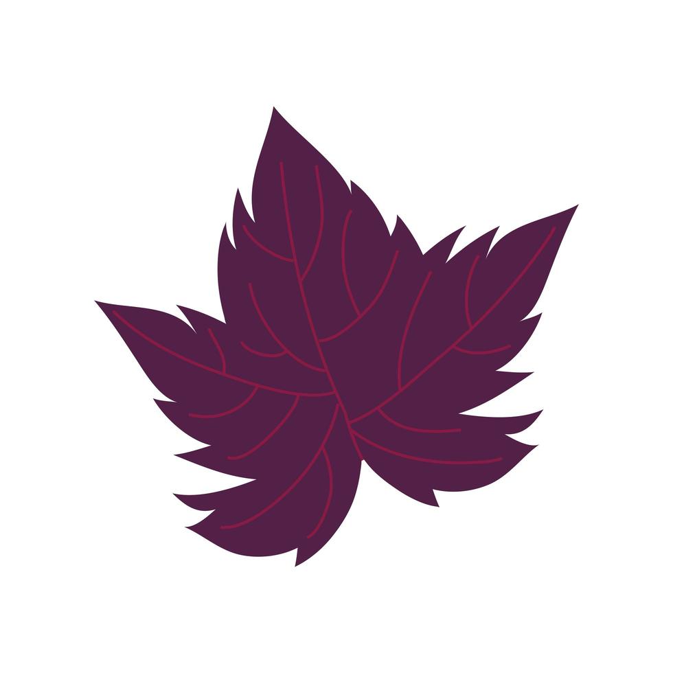 Traubenpflanze Blatt Natur-Symbol vektor