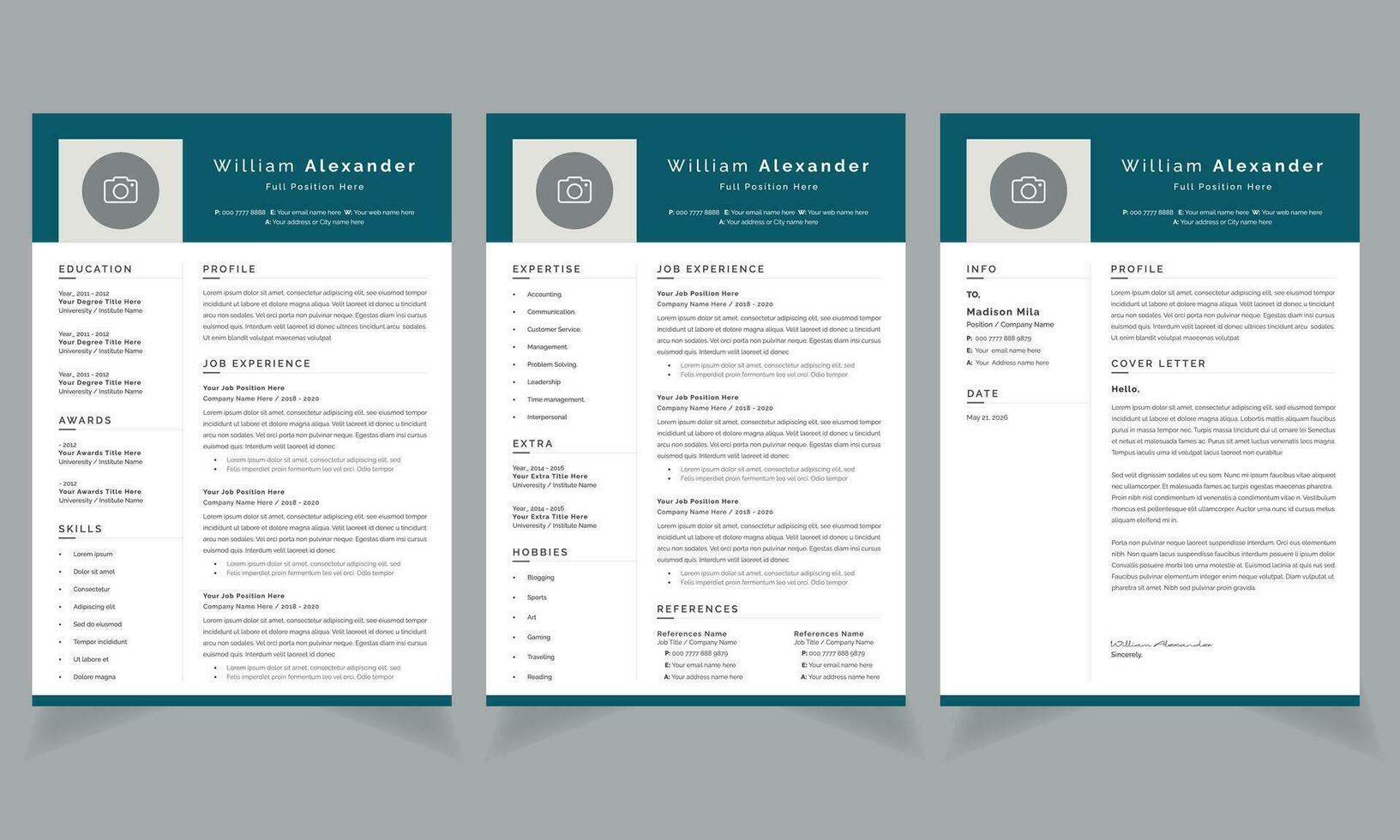 professionell grafisk designer återuppta layout CV design mall vektor