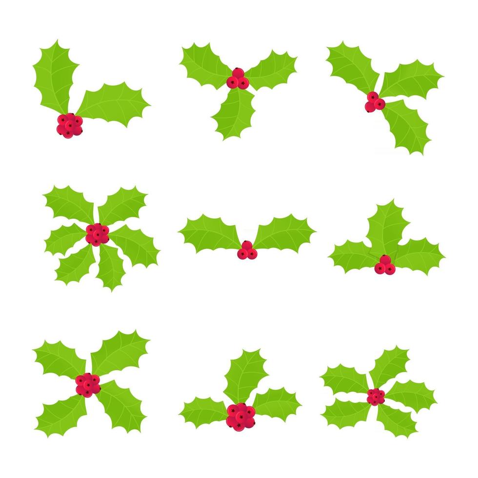 9 vinter- och semestersymbol järnekbärsymbolsskyltar vektor