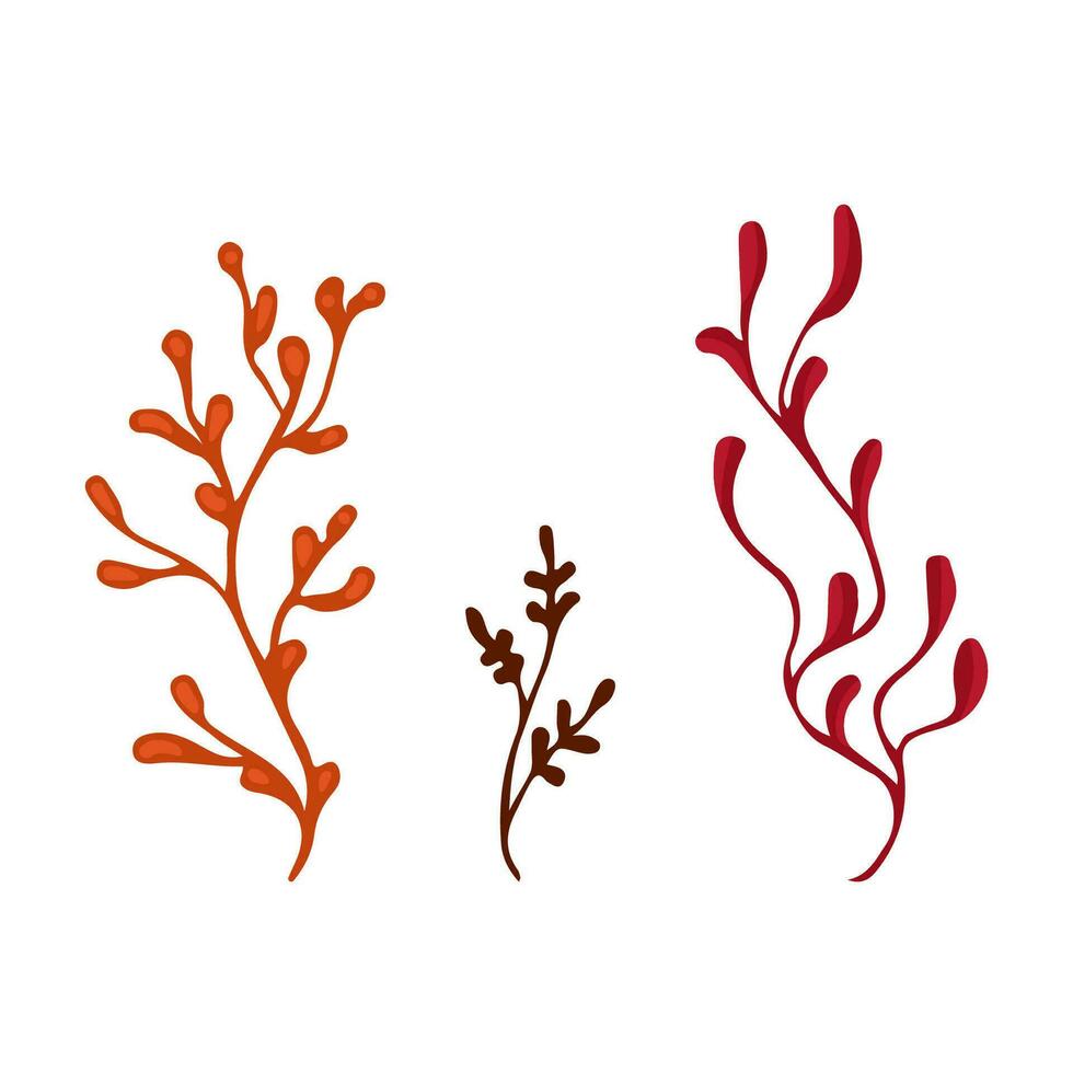 klotter höst färger kvist grenar element. kvist växt, ört. vektor illustration orange och röd.