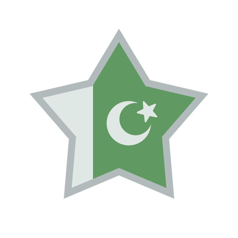 Star geformt pakistanisch Flagge Symbol. Vektor. vektor