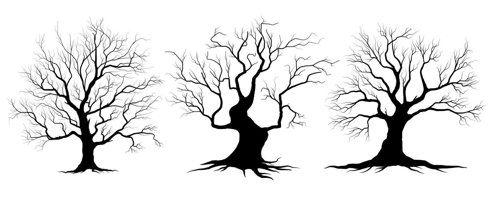 groß Sammlung schwarz Baum oder nackt Bäume Silhouetten Vektor. Hand gezeichnet isoliert Illustrationen. vektor