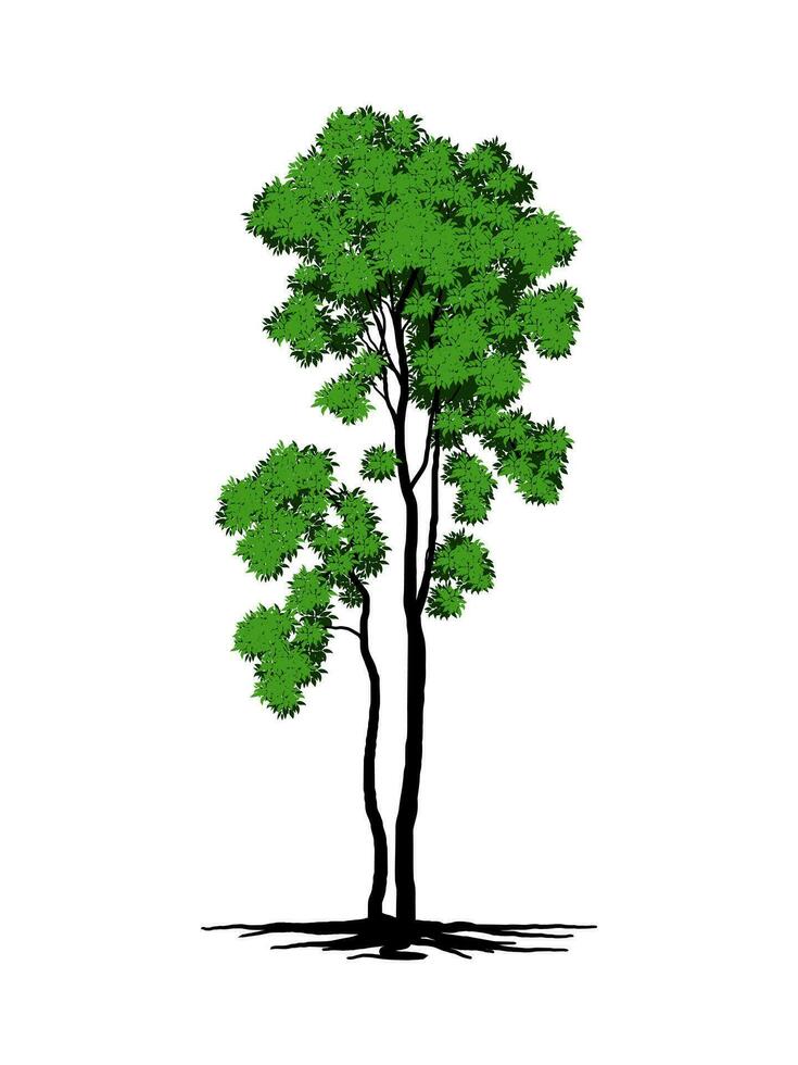 träd och rötter med grön löv se skön och uppfriskande. träd och rötter logotyp stil. vektor