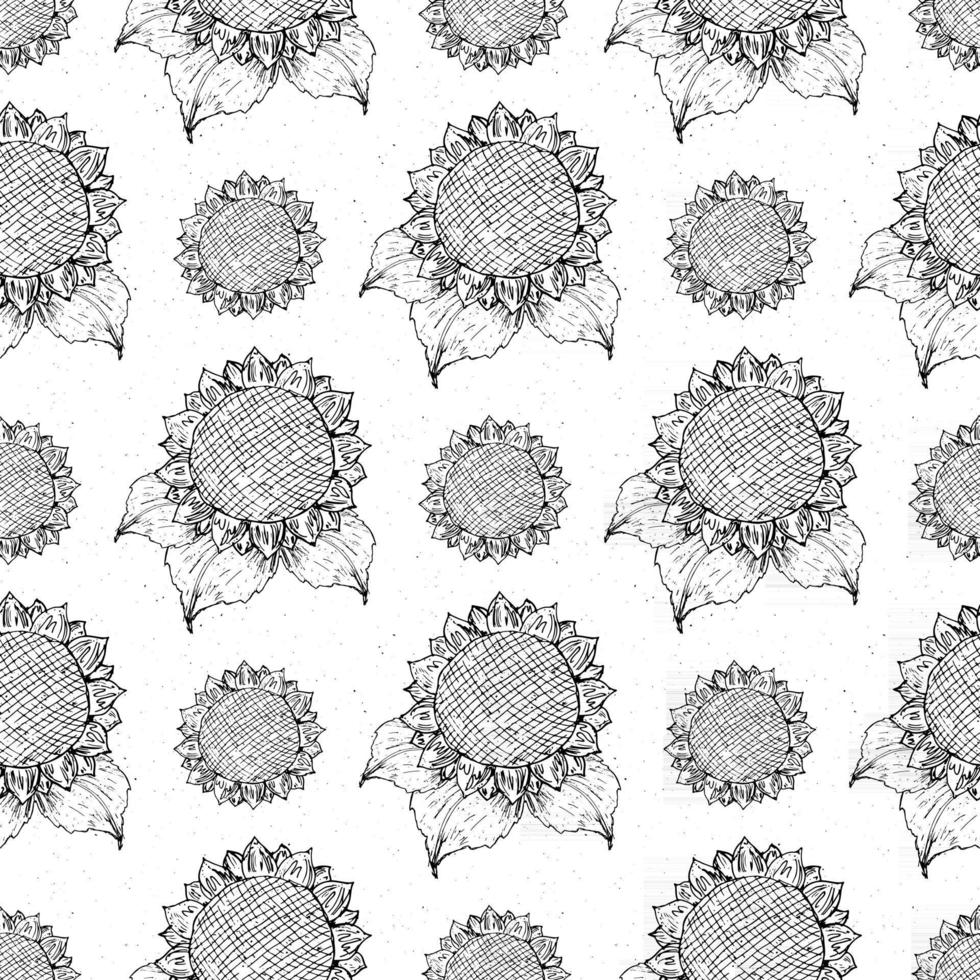 Handgezeichnete Skizze, Hintergrund, Typografie-Designvektorillustration des nahtlosen Musters der Sonnenblume vektor