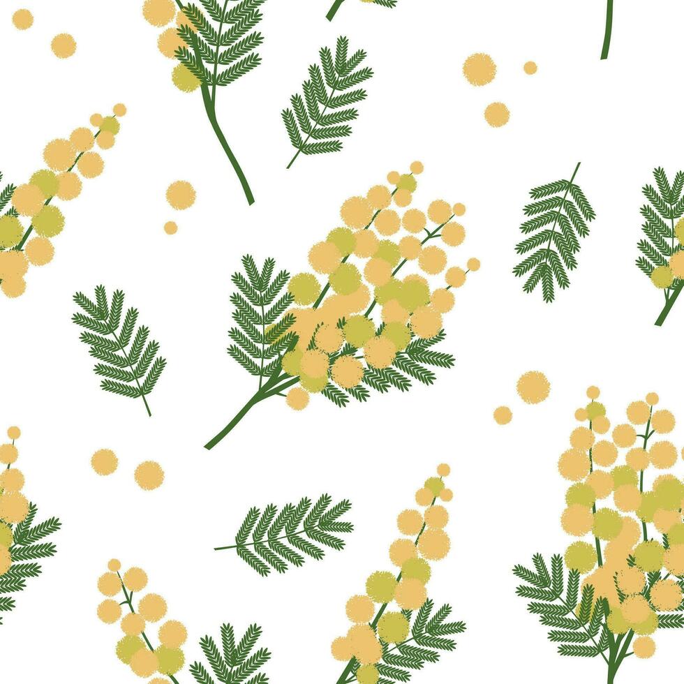 akacia kvistar med gul blommor på en vit bakgrund. vår sömlös mönster med mimosa växt för textilier, omslag papper, dekorativ kuddar. vektor. vektor