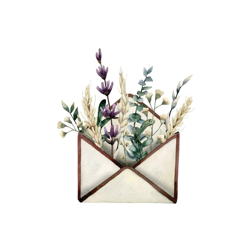 Aquarell öffnen Jahrgang Briefumschlag mit getrocknet Blumen und Kräuter Vektor Illustration, Eukalyptus, Lavendel, Weizen, Grün Blätter, Herbarium