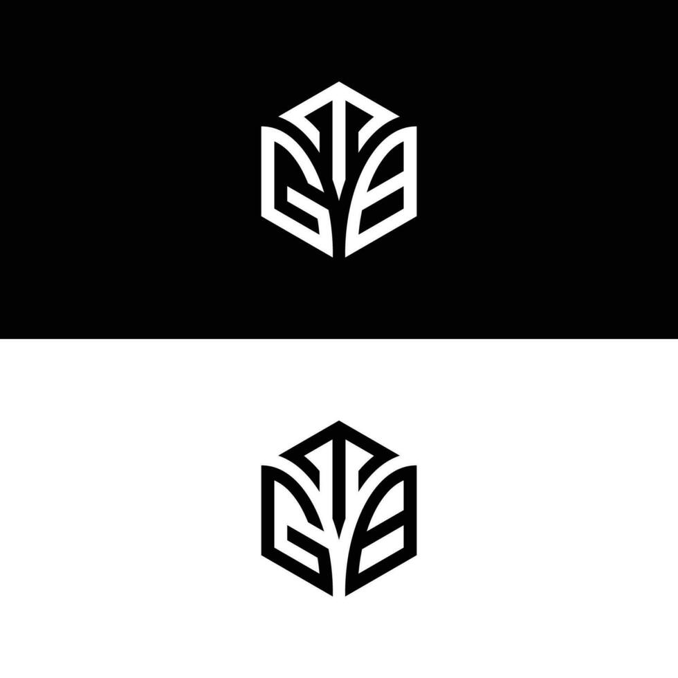 tgb Hexagon Logo Vektor, entwickeln, Konstruktion, natürlich, Finanzen Logo, echt Anwesen, geeignet zum Ihre Unternehmen. vektor