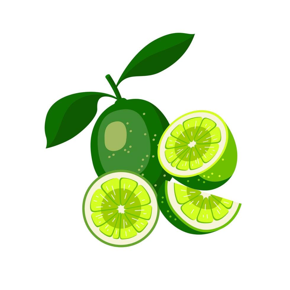 grön citron- vektor illustration design