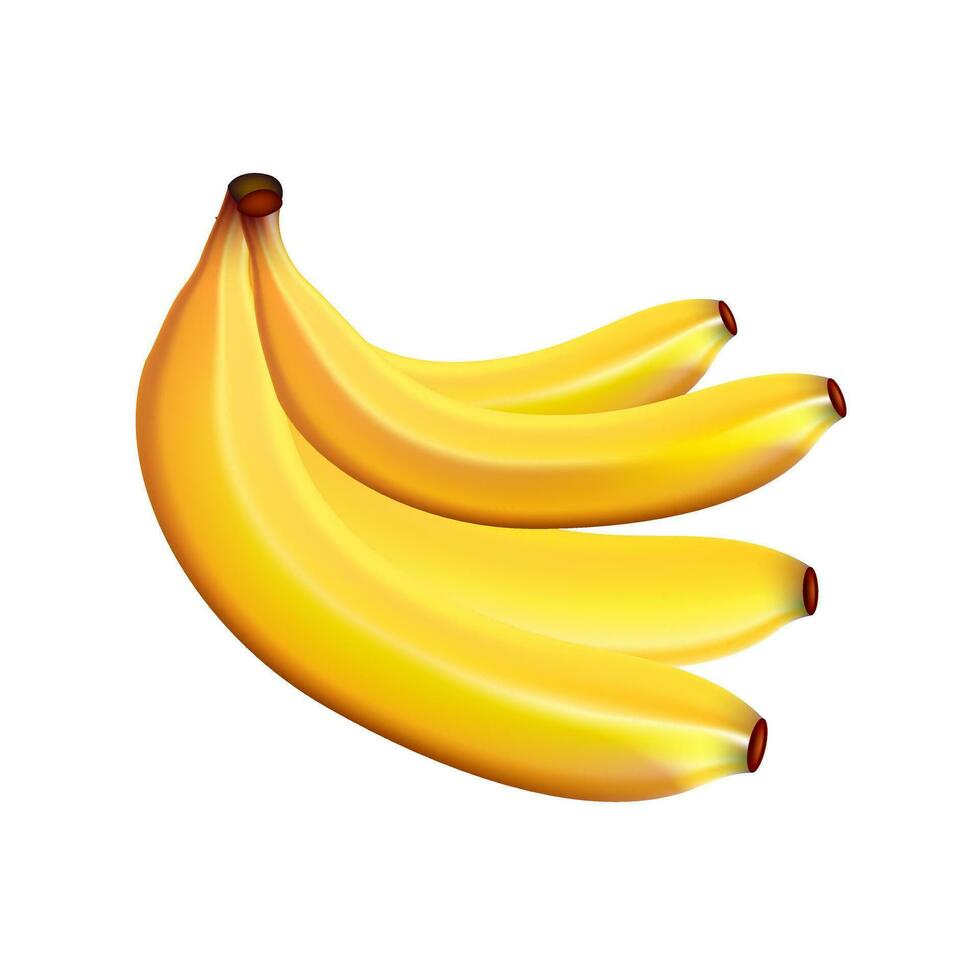 Gelb bunt Vektor Banane Früchte eben Abbildungen