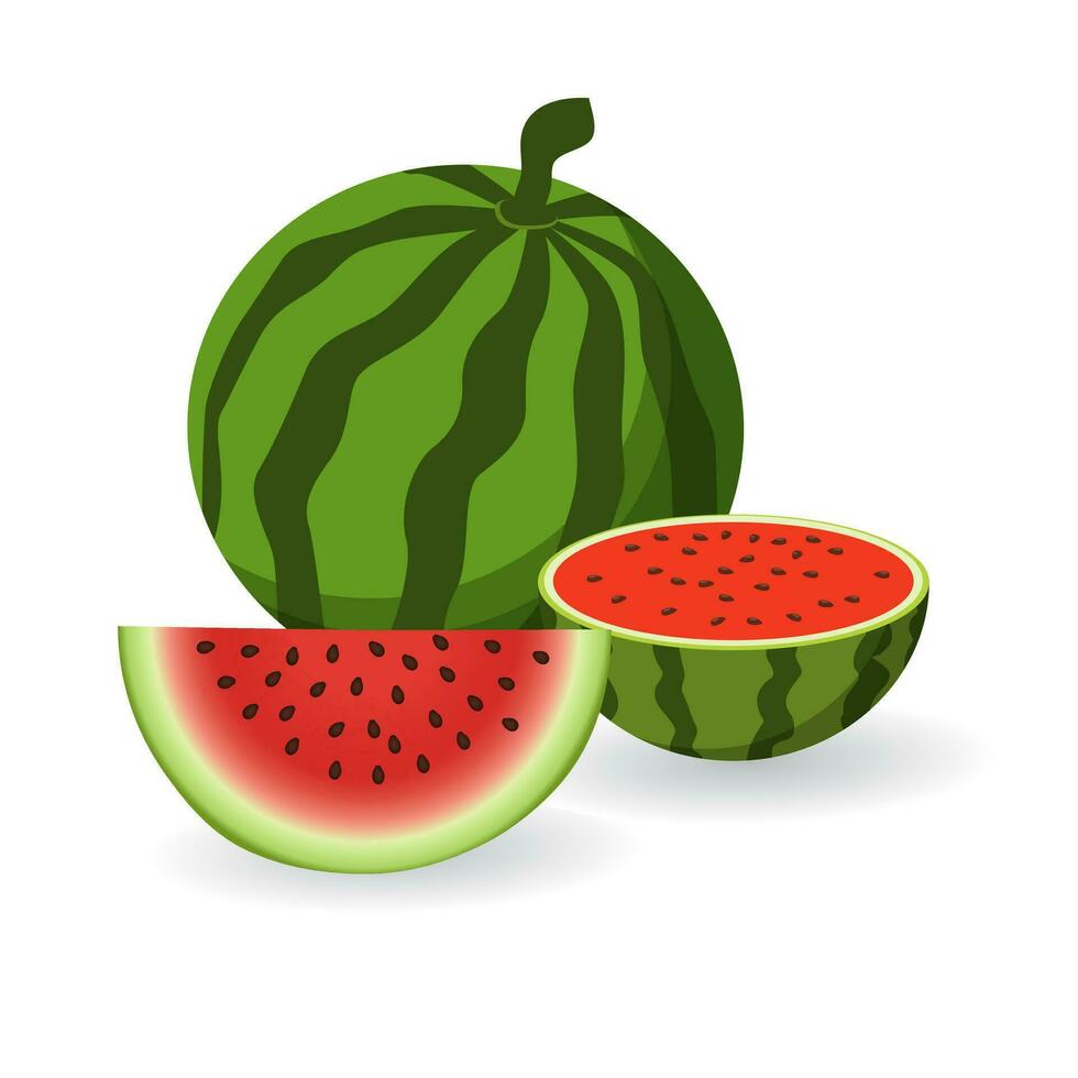 Grün reif Wassermelone Obst Illustration gut zum Essen und trinken vektor