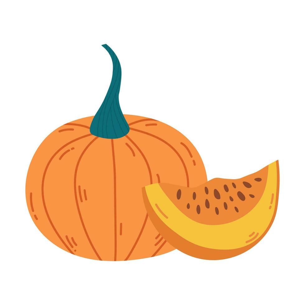 Orange reif Kürbis ganze und Scheibe mit Samen. Hand Zeichnung Kürbis Komposition Vektor Illustration. Elemente zum Herbst dekorativ Design, Halloween Einladung, Ernte das Erntedankfest.