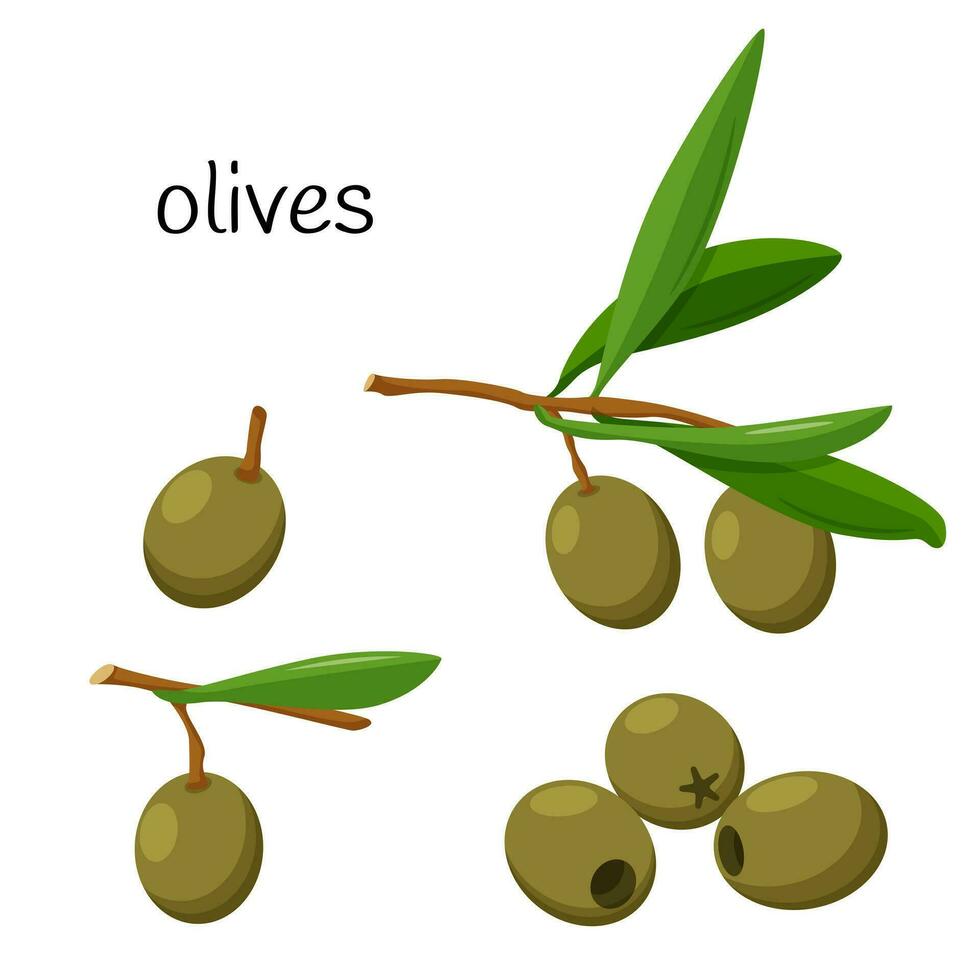 Grün Olive. ganze auf ein Ast mit Blätter, entkernt Oliven. Zutat, ein Element zum das Design von Essen Verpackung, Rezepte, und Menüs. isoliert auf Weiß Vektor Illustration im eben Stil.