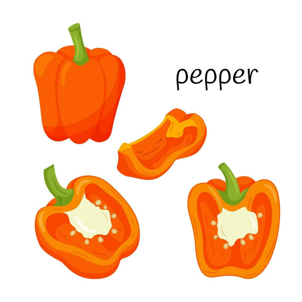 färsk orange peppar. hela, halv i tvärsnitt och en fjärdedel skiva. ingrediens, ett element för de design av mat förpackning, recept, och menyer. isolerat på vit vektor illustration i platt stil.