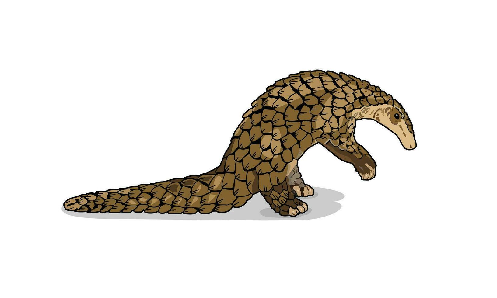 Hand gezeichnet Pangolin Tier Vektor Illustration. Selten Spezies von süß Säugetiere Leben im Afrika und Asien.