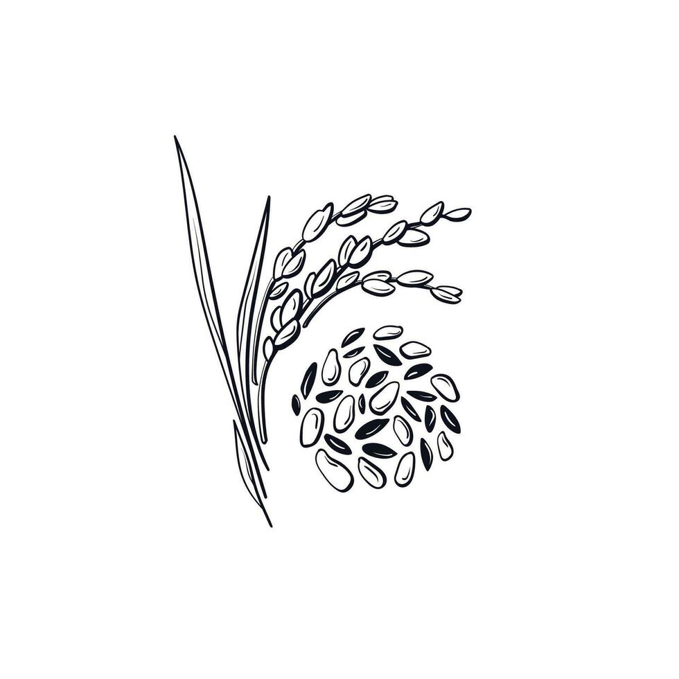 ris, spannmål. vektor grafisk symbol, gluten fri