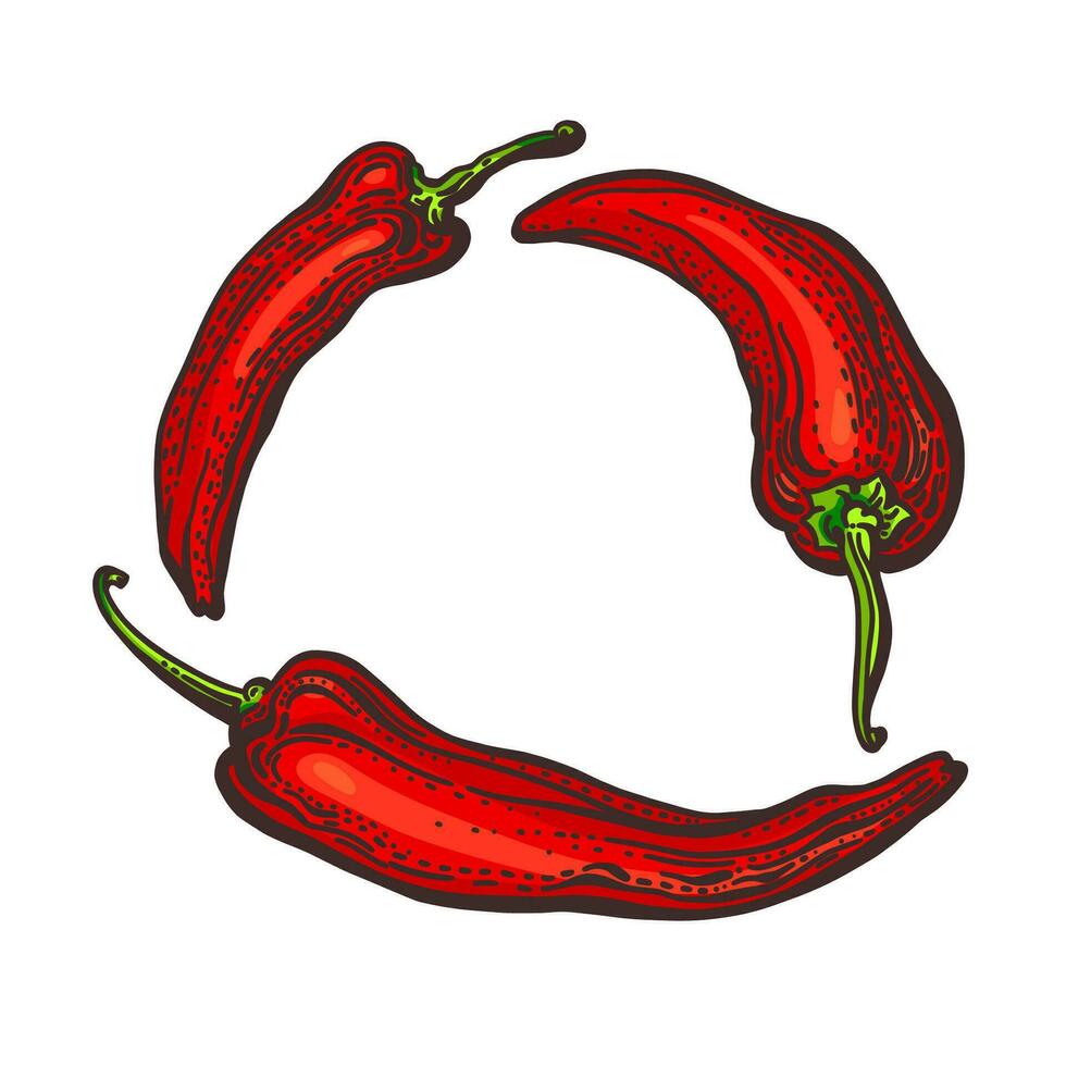röd peppar chili. vektor uppsättning i cirkel. varm krydda