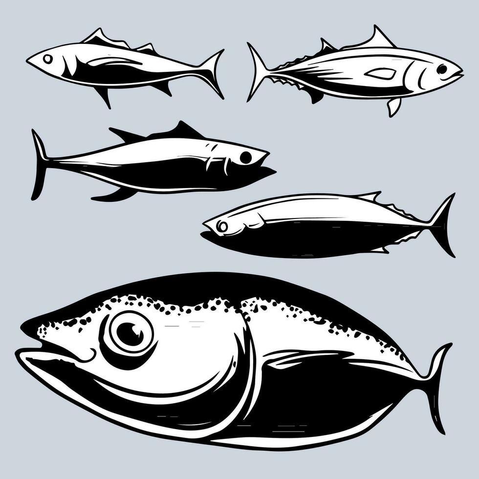 tonfisk fisk illustration 4 vektor