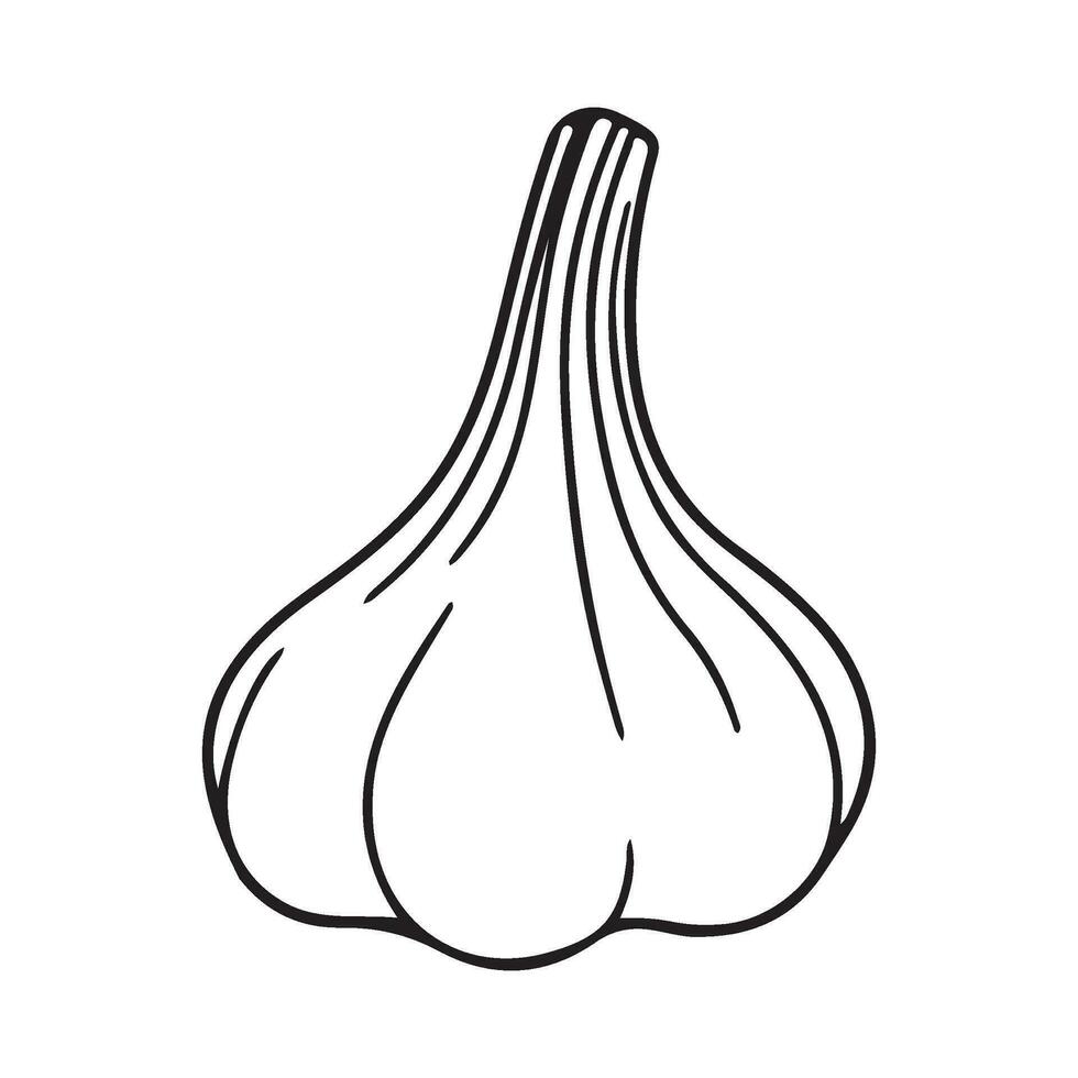 Knoblauch Birne, Knoblauch Symbol, Gemüse zum Kochen und Würze vektor