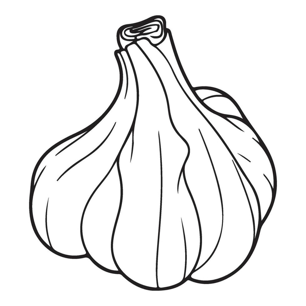 Knoblauch Birne, Knoblauch Symbol, Gemüse zum Kochen und Würze vektor