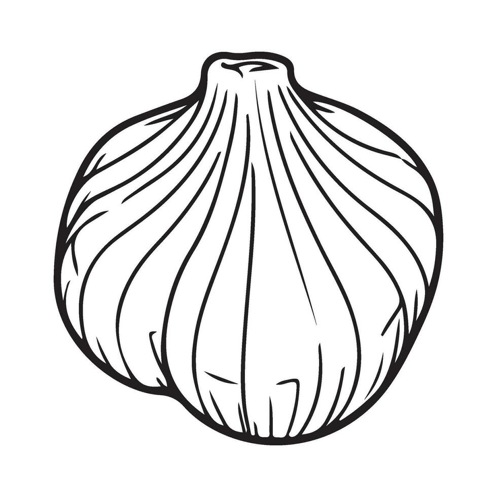 Knoblauch Birne, Knoblauch Symbol, Gemüse zum Kochen und Würze vektor