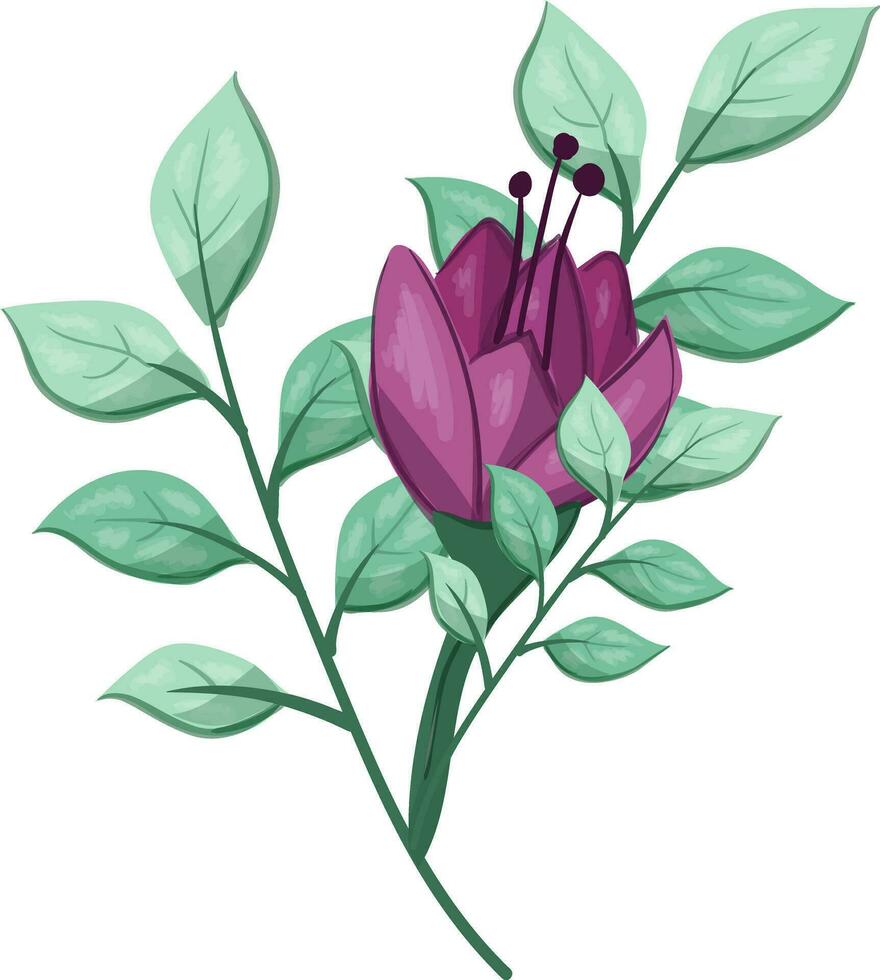 Illustration von ein lila Blume mit Grün Blätter auf ein Weiß Hintergrund vektor