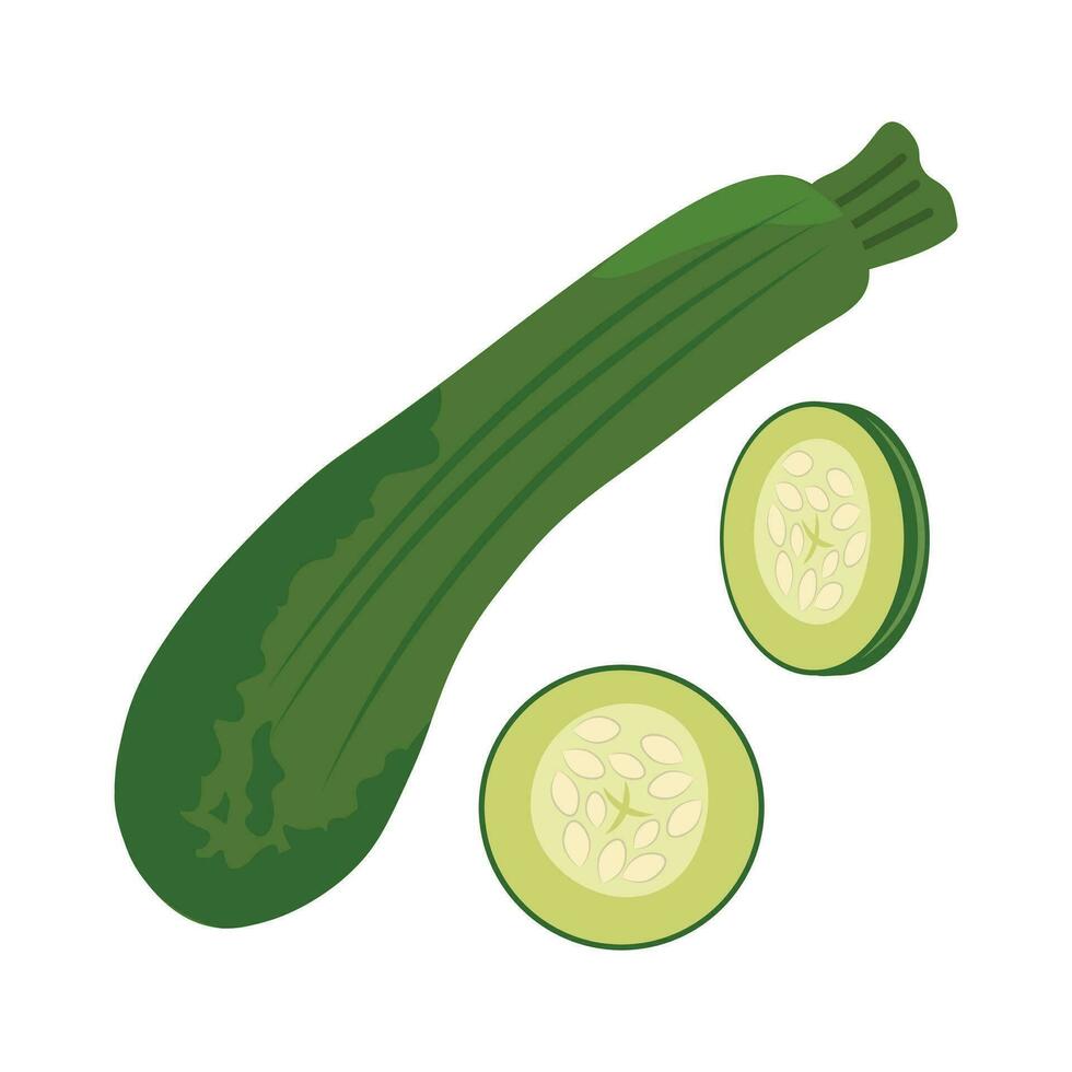 isolerat vektor illustration av en grön zucchini på vit bakgrund