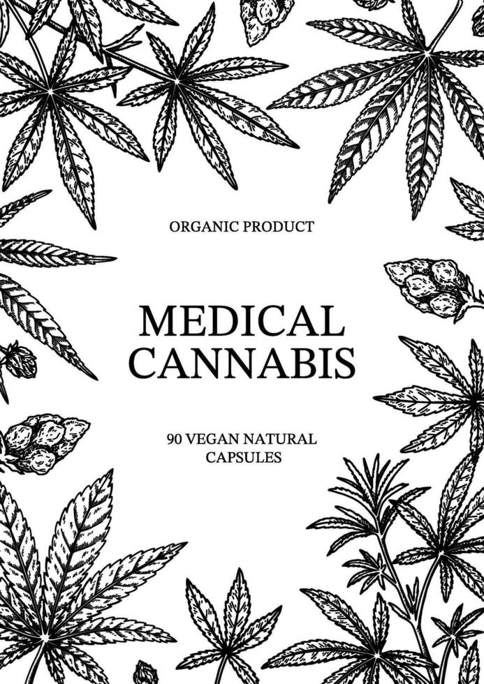 cannabis vertikal design för förpackning, social media inlägg, Lagra dekoration, varumärke, certifikat. marijuana vektor illustration i skiss stil. hampa graverat bakgrund