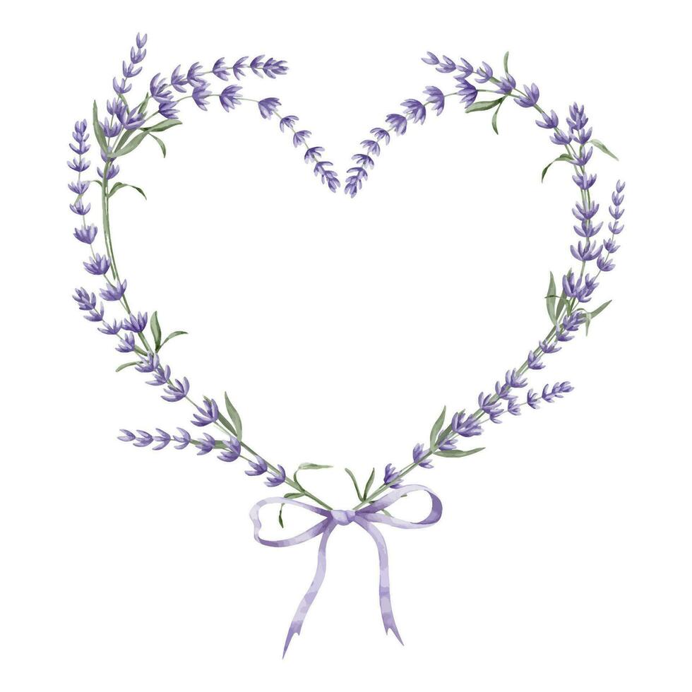 lavendel- hjärta form bekransa med band. hand dragen vattenfärg illustration av blommig ram med vild provins blommor på vit isolerat bakgrund. lavandula för hälsning kort eller inbjudningar vektor