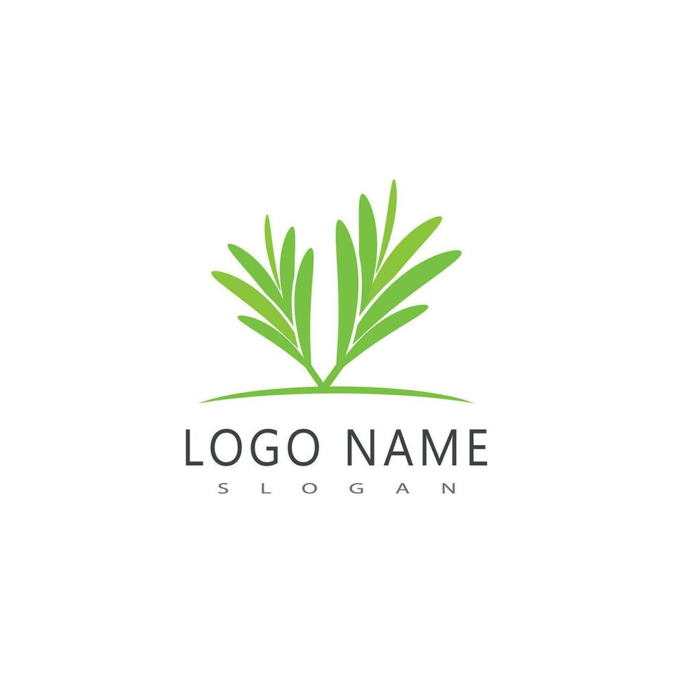 Rosmarin Logo Vektor Illustration Vorlage Geschäft Element und Symbol Design