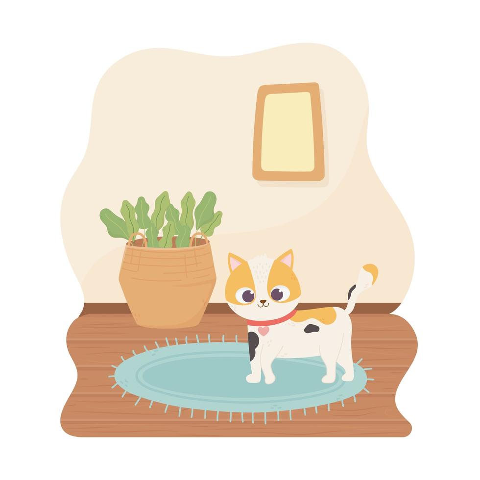 sällskapsdjur katt står i rummet med korg växter ram tecknad vektor