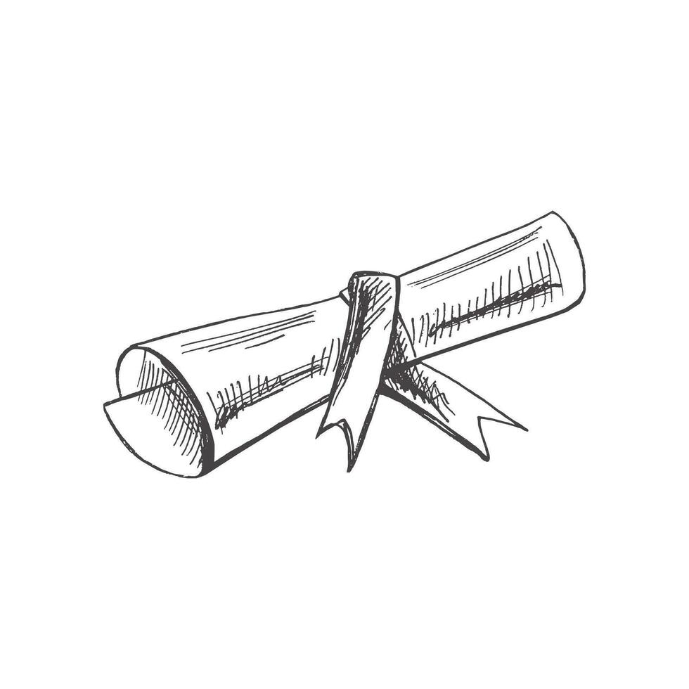 vektor ritad för hand skola och kontor leveranser illustration. detaljerad retro stil skrolla bunden med en band, en diplom skiss. årgång skiss element. tillbaka till skola. skola grundläggande illustration.