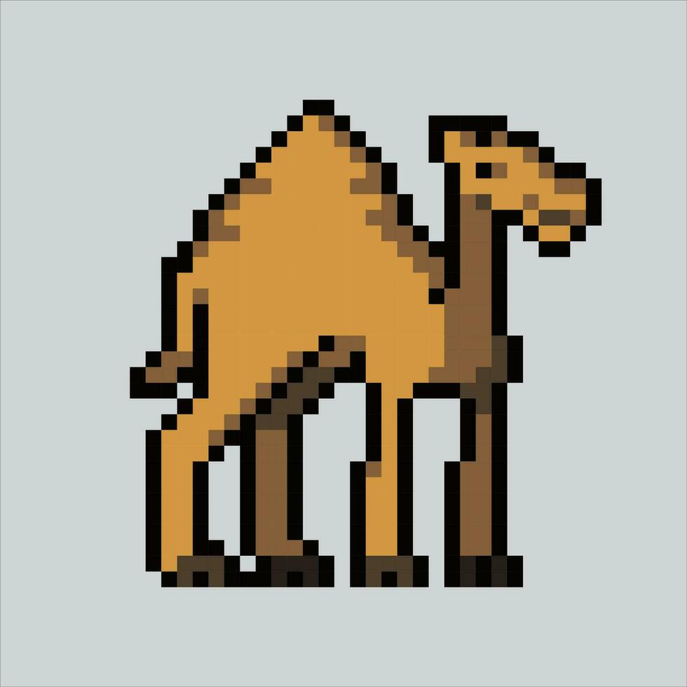 Pixel Kunst Illustration Kamel. pixelig Kamel. süß Mitte Osten Kamel Tier Symbol pixelig zum das Pixel Kunst Spiel und Symbol zum Webseite und Video Spiel. alt Schule retro. vektor