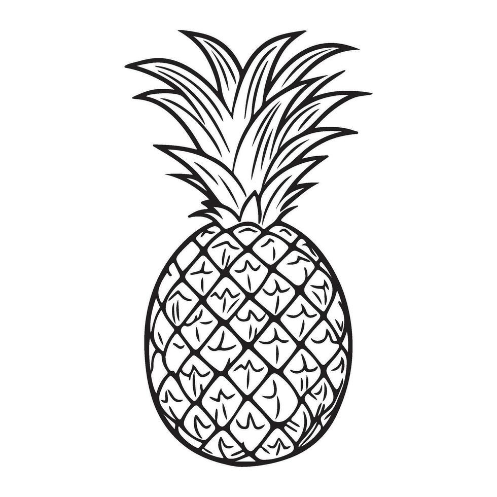 ananas tropisk frukt illustration, ananas med blad ikon. vektor