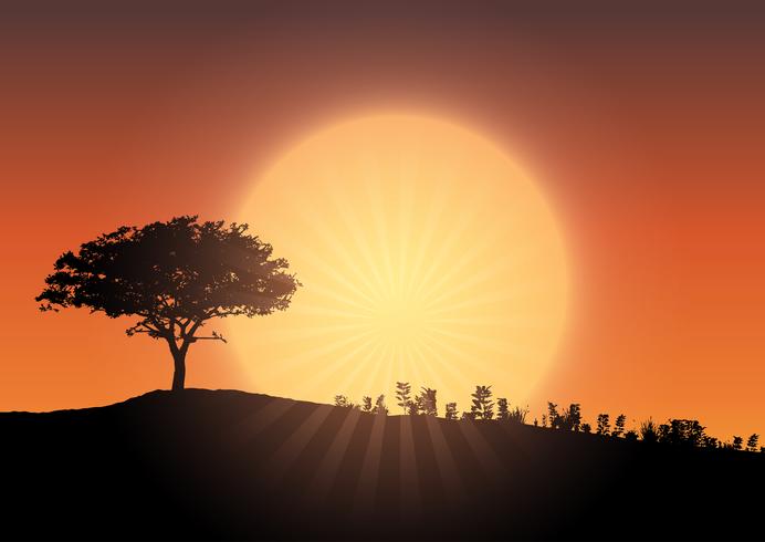 Baumschattenbild gegen Sonnenunterganghimmel vektor