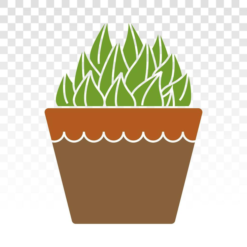 Haworthia cooperi dekorativ Pflanze eben Farbe Symbol zum Apps und Websites vektor