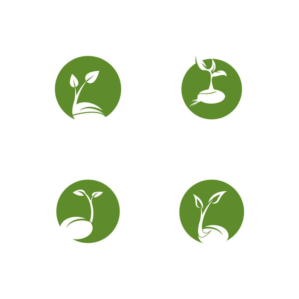 frön natur logotyp vektor mall illustration
