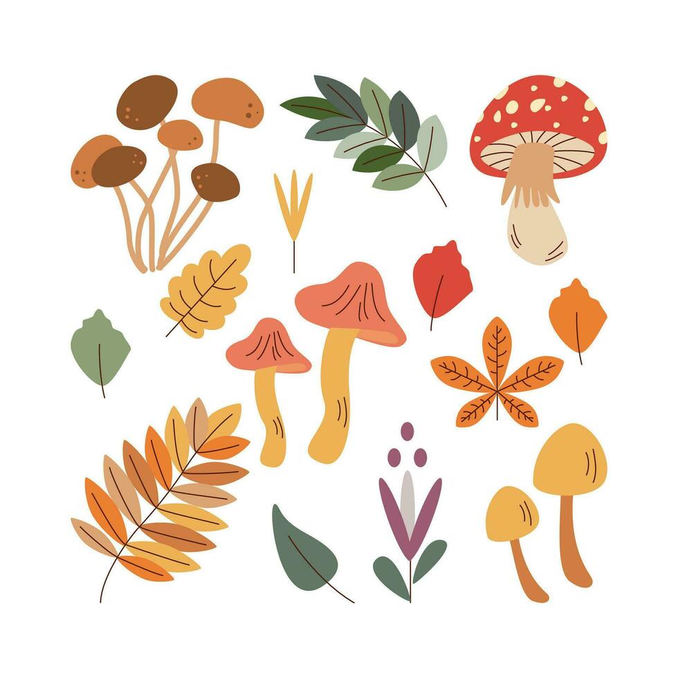 Pilze, Blatt. Hallo Herbst. Herbst Jahreszeit Element, Symbol. vektor