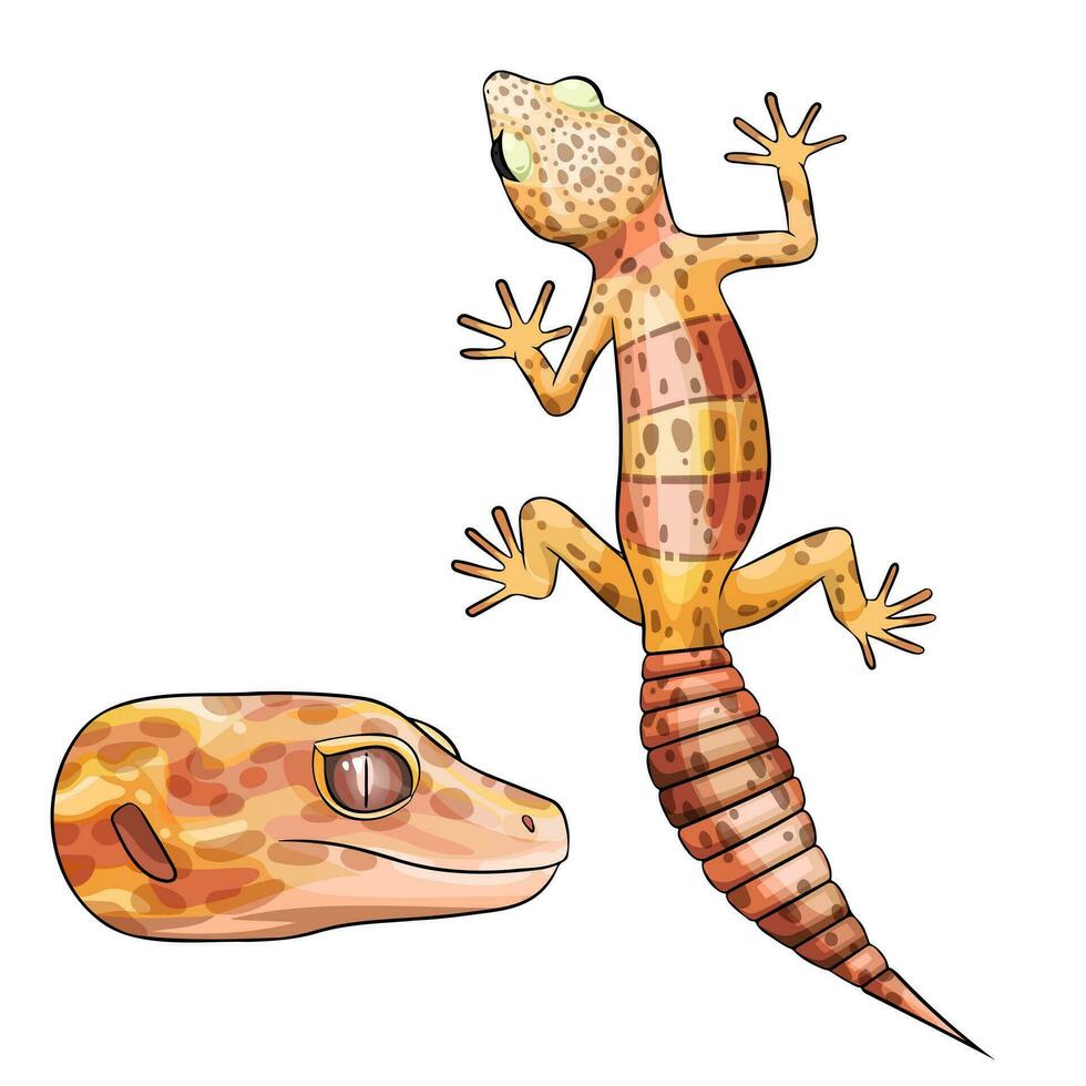 vektor illustration av ett eublepharis leopard gecko klocka albino