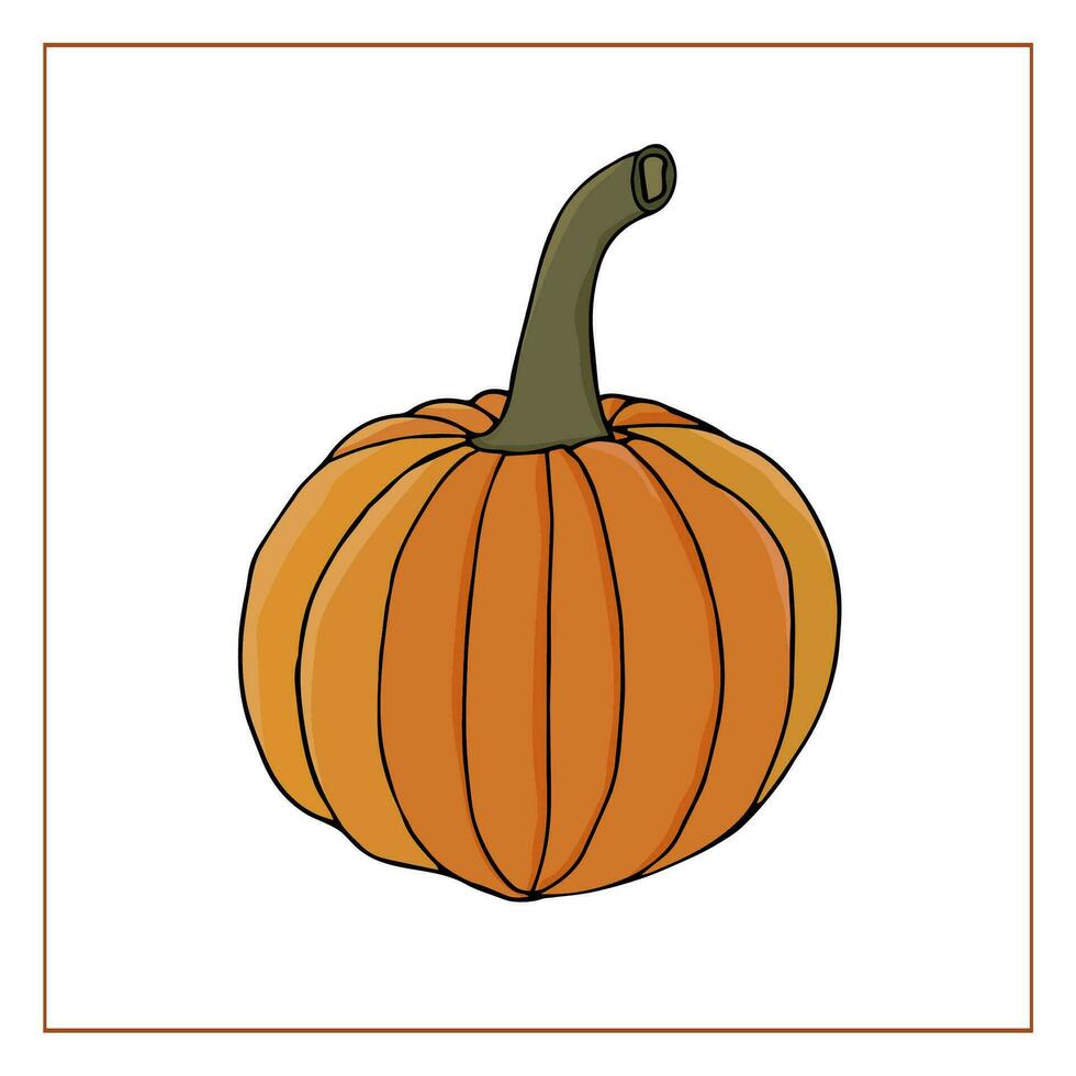 Vektor Kürbis isoliert auf Weiß Hintergrund. handgemalt farbig Gekritzel Kürbis. Herbst Gemüse. Dekoration zum Halloween und das Erntedankfest.