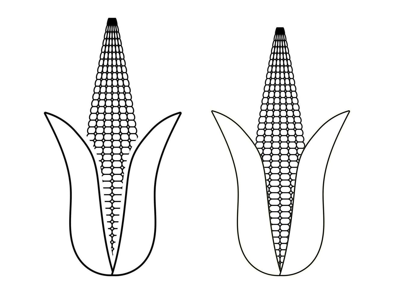 Ohr von Mais oder Mais Linie Kunst auf ein transparent Hintergrund vektor