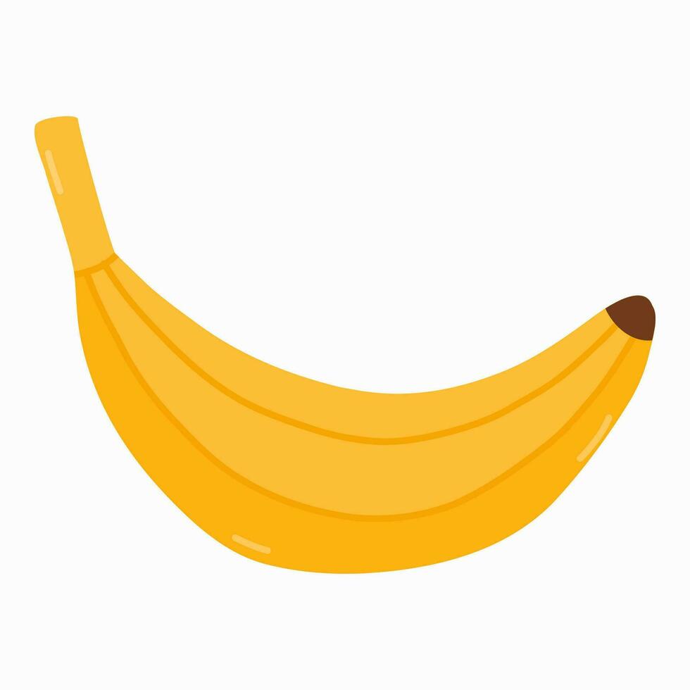 platt illustration med gul mogen banan i de skal. vektor hand dragen ClipArt isolerat på bakgrund. vegetarian och vegan mat. friska bruka produkt. friska äter och diet begrepp. ljuv mellanmål.
