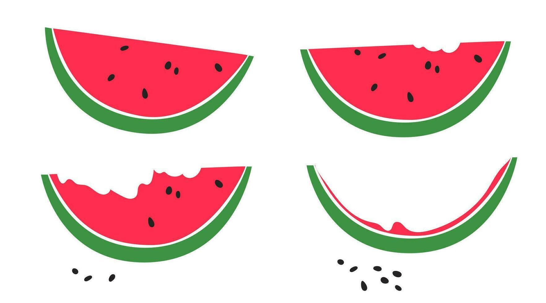 vattenmelon illustration. bitar av vattenmelon, mat illustration vektor