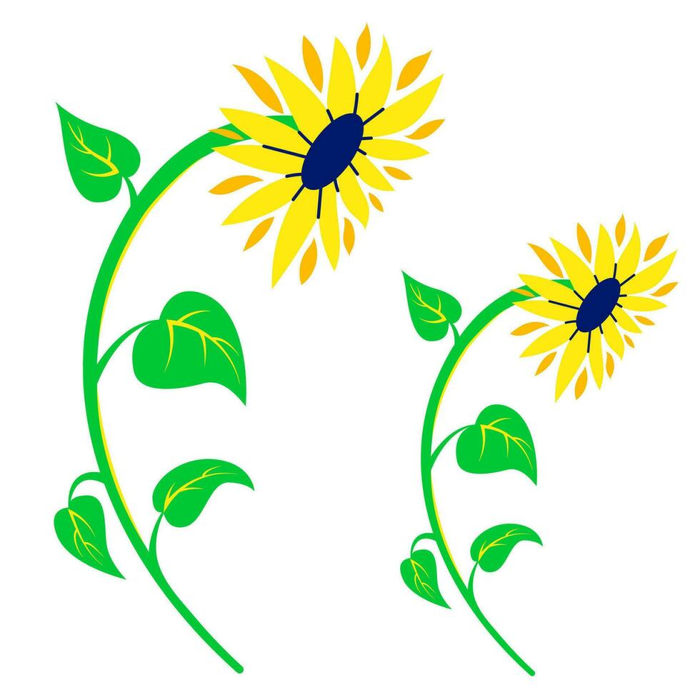 Gelb Sonnenblumen Vektor Illustration auf Weiß Hintergrund